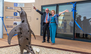 African Penguin and Seabird Sanctuary (APSS) opens in Gansbaai